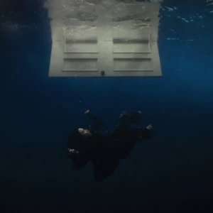 Billie Eilish - BIRDS OF A FEATHER